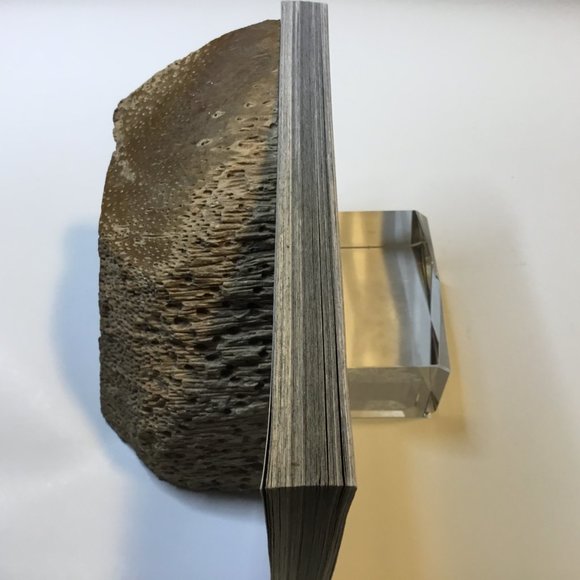 Attack on Titan #30 - Picture 5 of 7